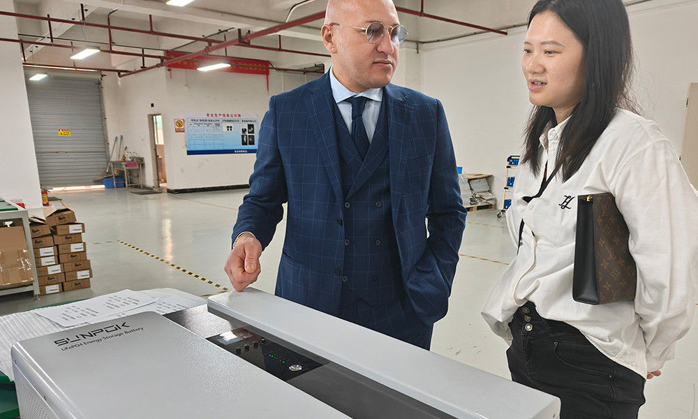 Ess Cho sử dụng gia đình Hệ thống lưu trữ năng lượng năng lượng mặt trời với pin Mặt trời Micro Inverter